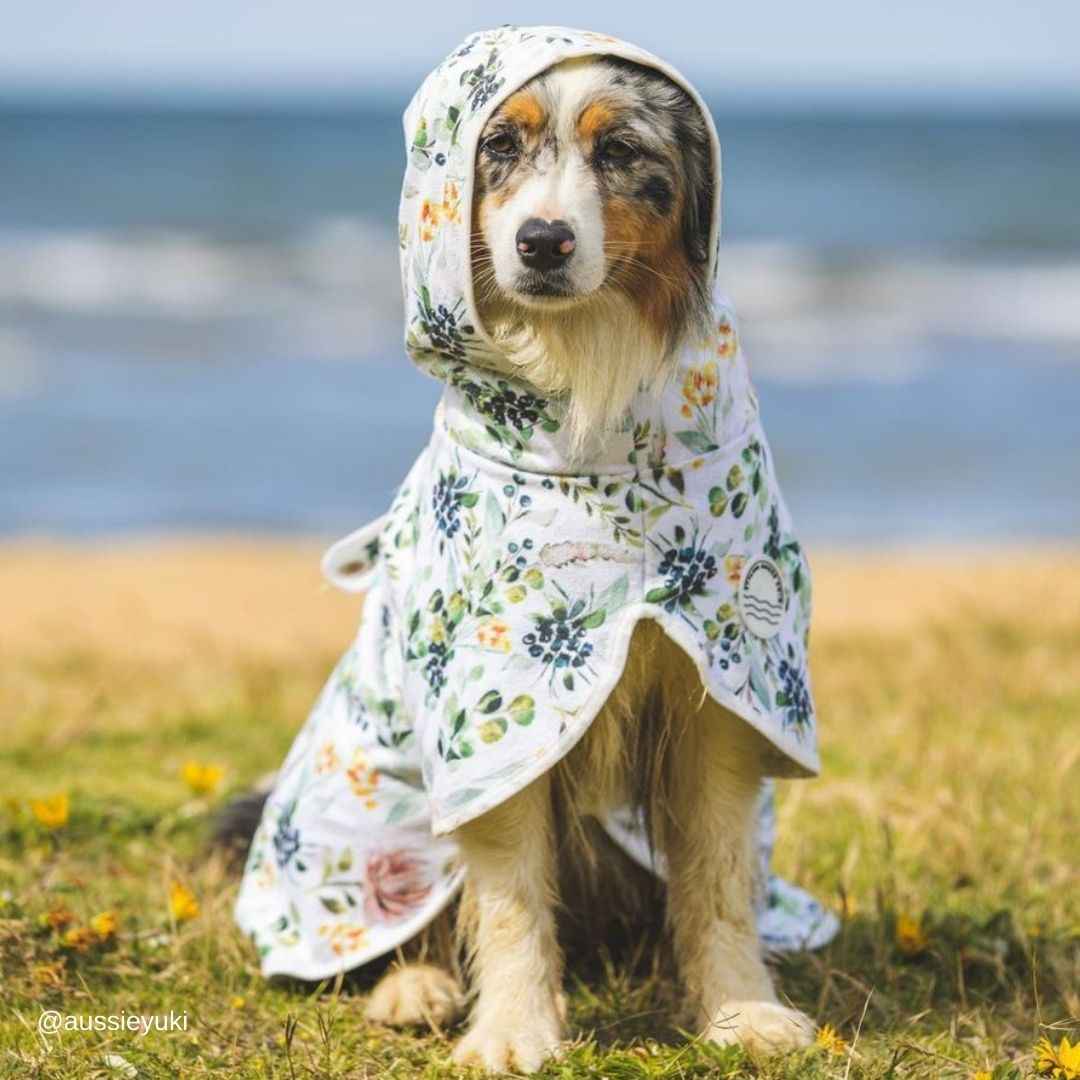 Evergreen Super Absorbent Dog Bathrobe Afterpay Stylish Hound