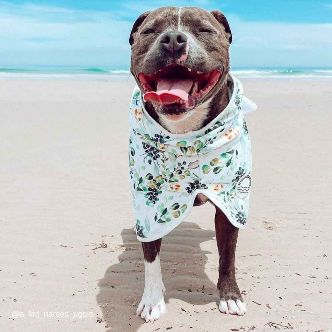 Evergreen Dog Robe - Evergreen