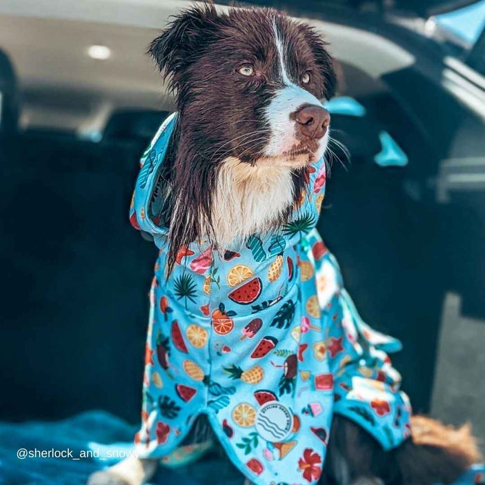 Malibu Dog Robe