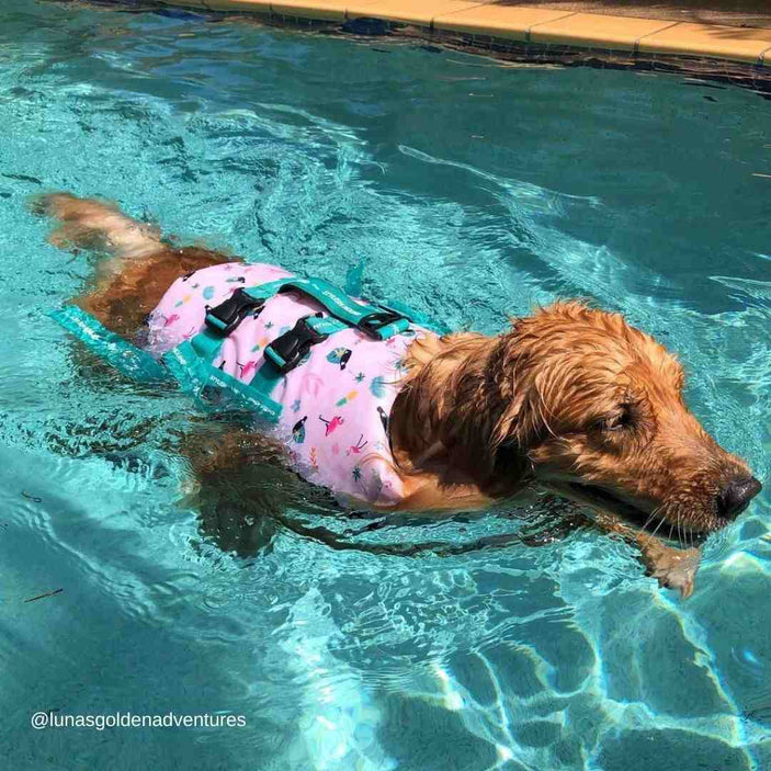 Tropical Dog Swim Jacket