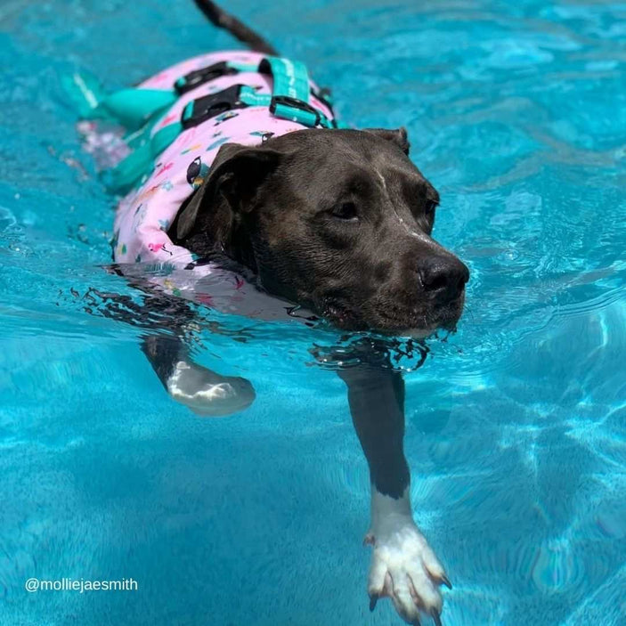 Tropical Dog Swim Jacket