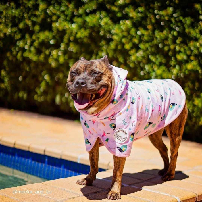 Tropical Dog Robe