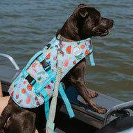 Malibu Dog Swim Jacket