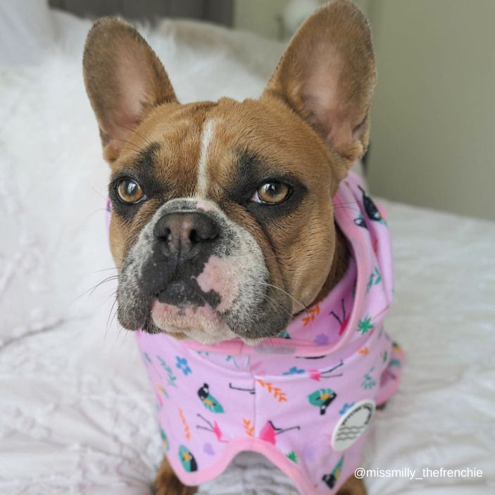 Tropical Dog Robe