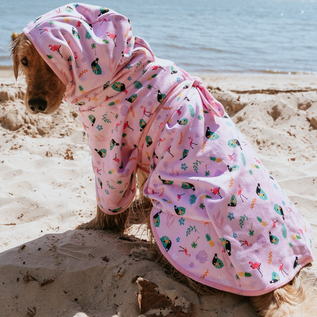 pink dog dressing gown Plush Pink Pet Dog Robe