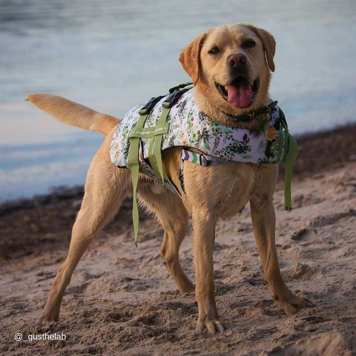 Evergreen Dog Swim Jacket