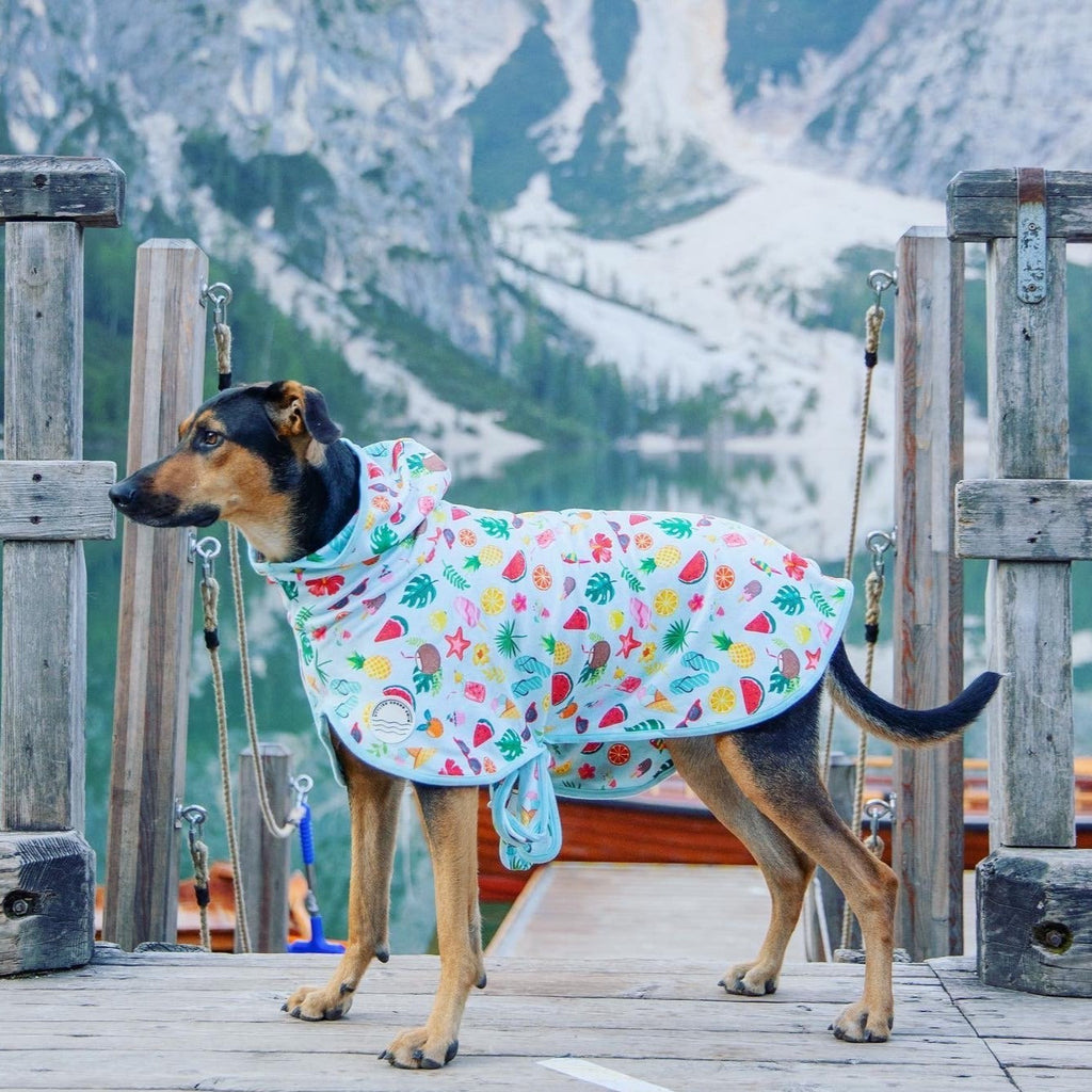 Dog Robe Pattern Dog Bathrobes | Towel Robes | Afterpay | Stylish Hound