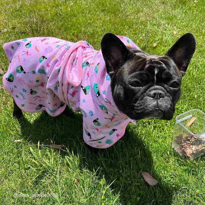 Tropical Dog Robe