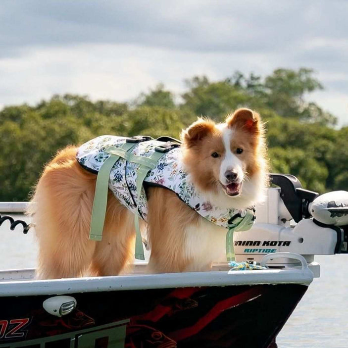 Evergreen Dog Swim Jacket