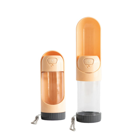 Citrus Water Bottle - Citrus