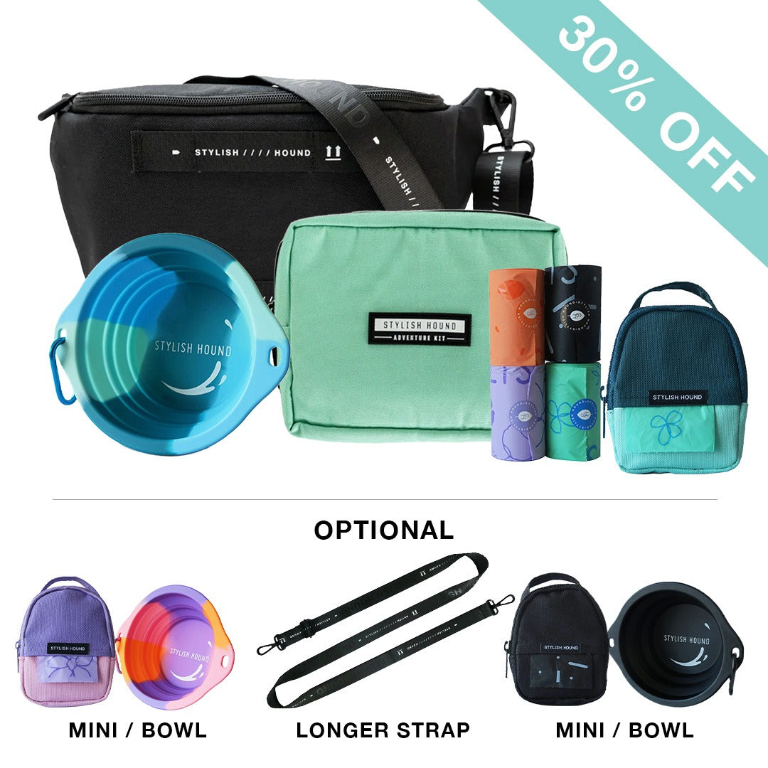 Black S.H Waist/Cross Body Bag + Express Pouch