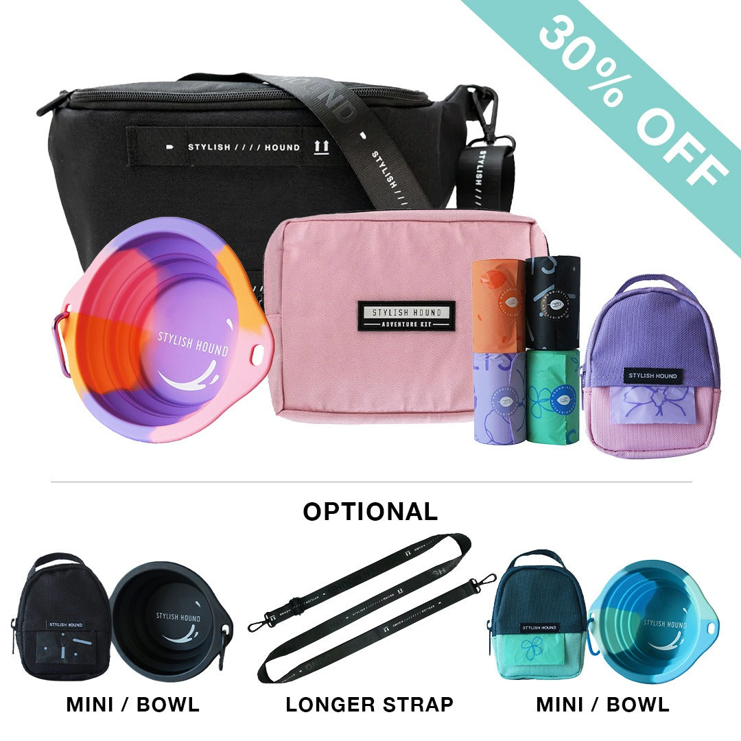 Black S.H Waist/Cross Body Bag + Express Pouch