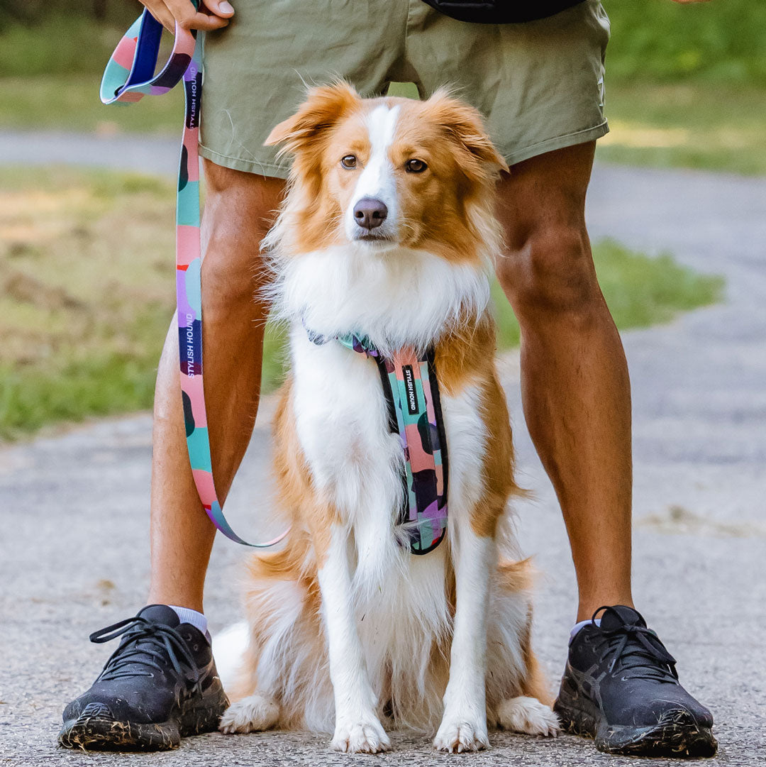Atlas Explorer Chest Plate - Atlas