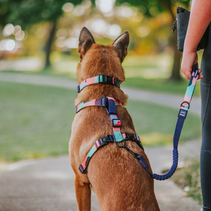 Atlas CC Leash - Atlas