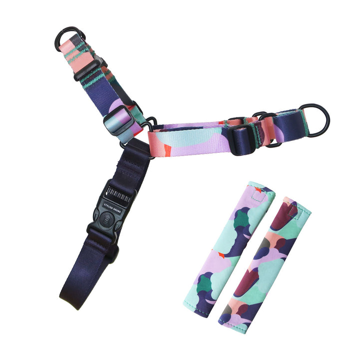 Atlas RNT No-Pull Training Harness