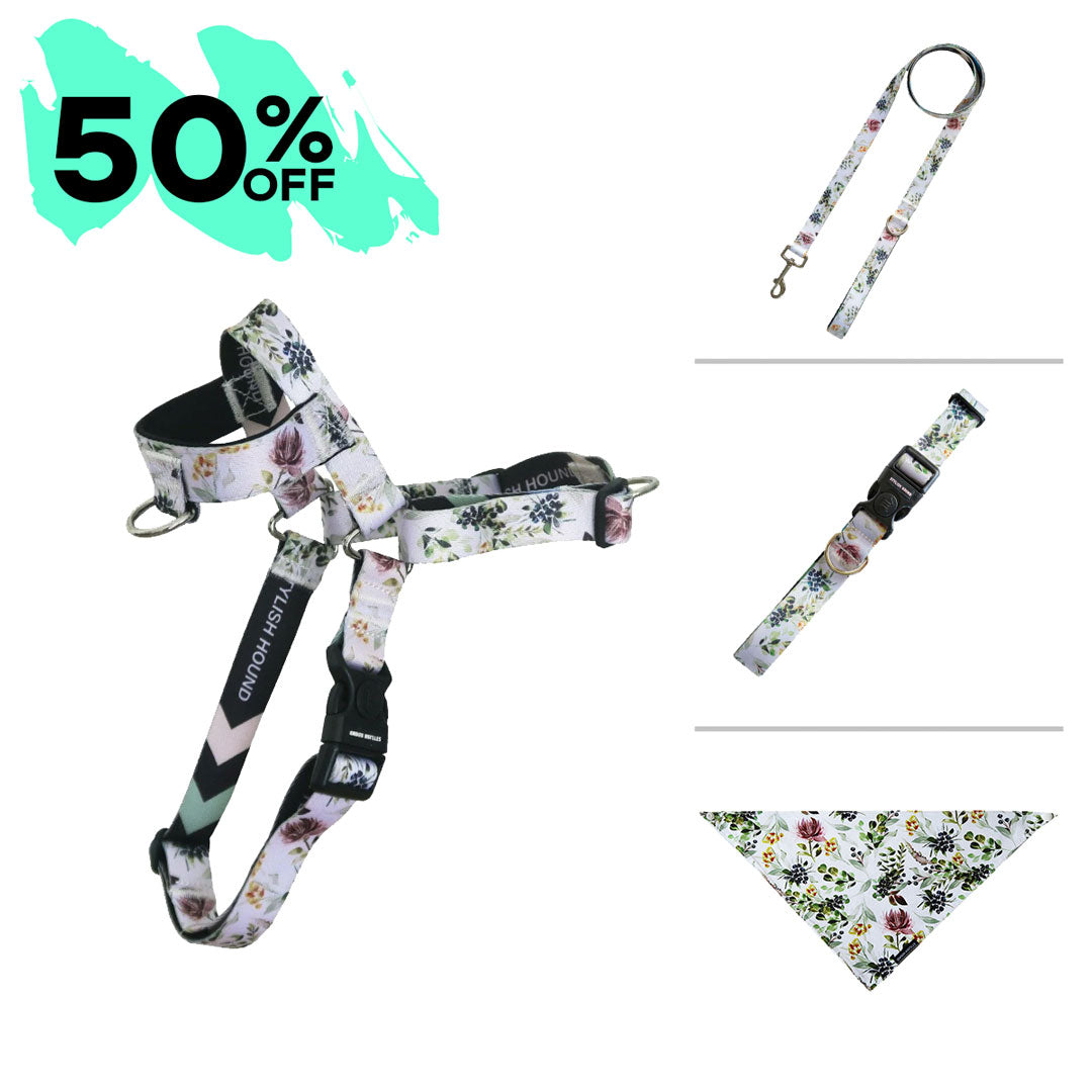 Evergreen Harness Bundle