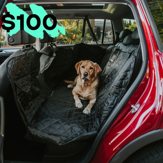 Back Seat Cover with Travel Bag