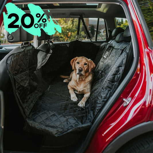 Back Seat Cover with Travel Bag