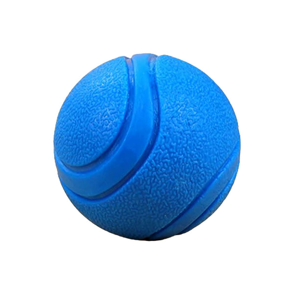 blue rubber dog ball