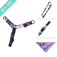 Atlas Harness Bundle