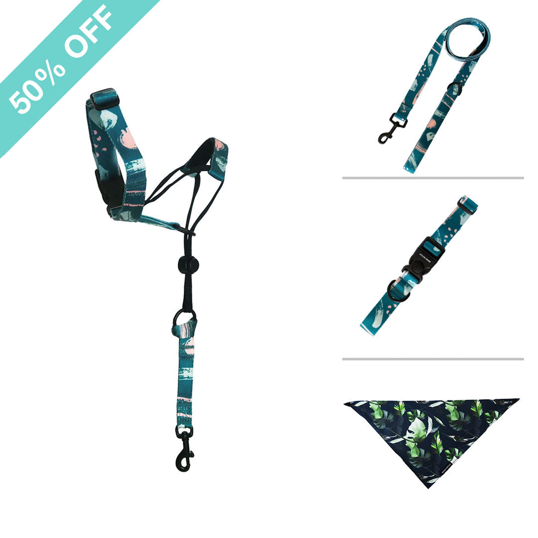 Nova Halter Bundle