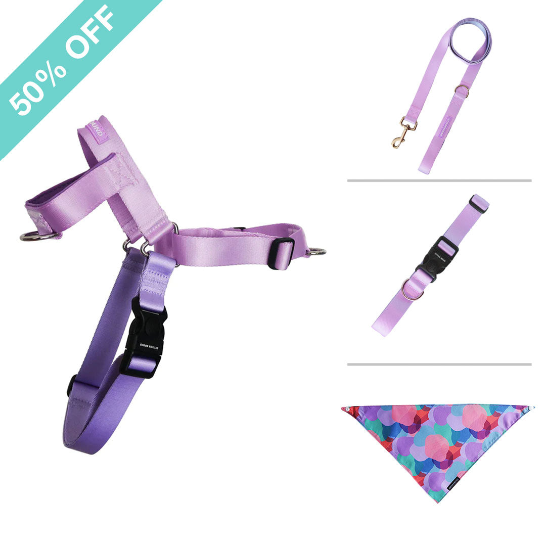 Sorbet Harness Bundle