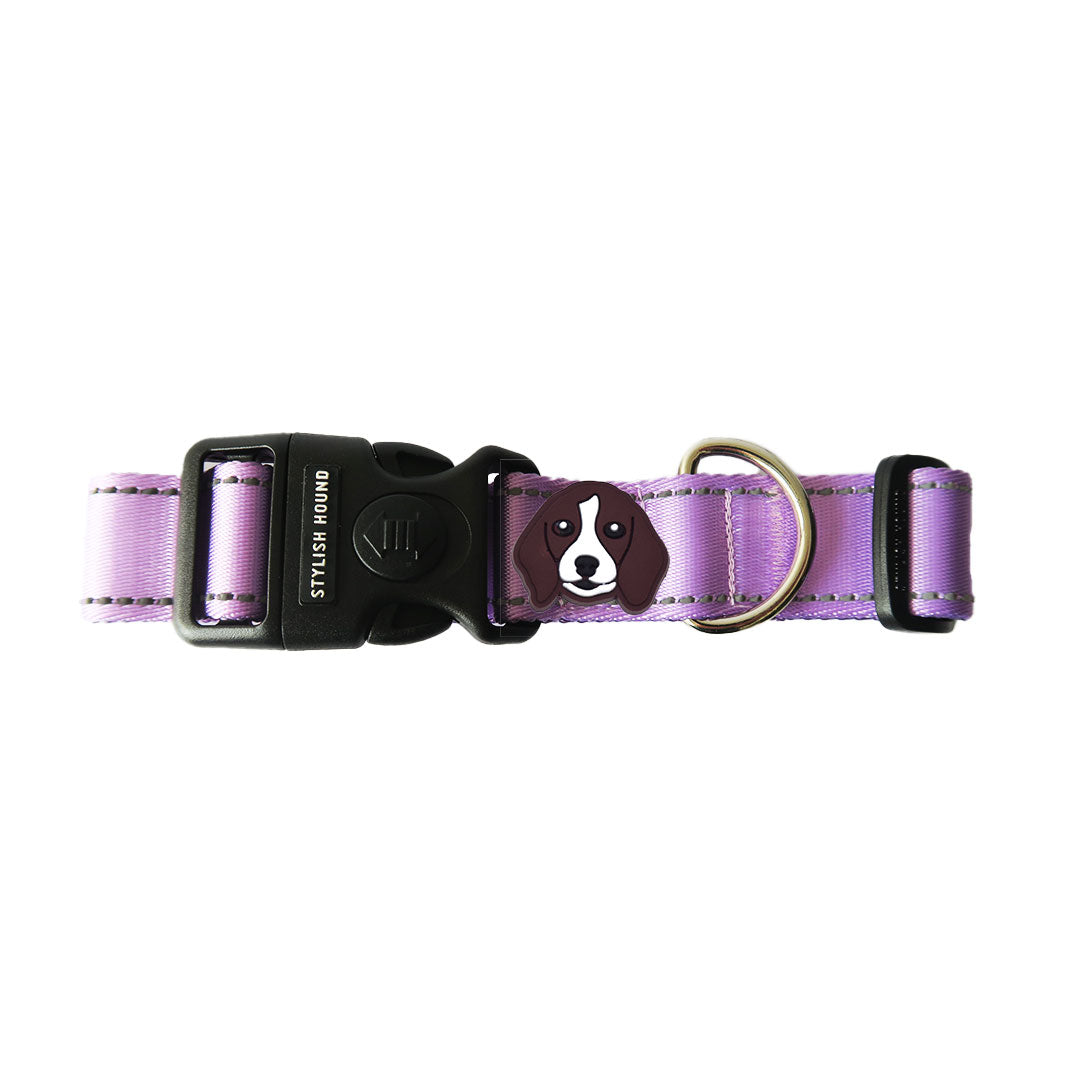 Berry hotsell dog collar