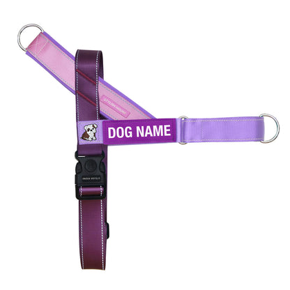 Personalised No-Pull Harness