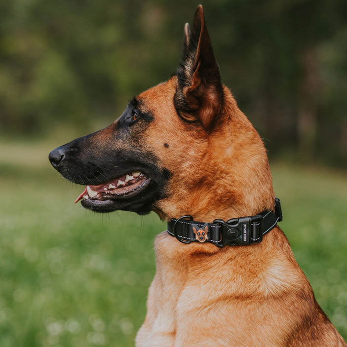 Jet Black Personalised Collar