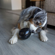 Black Egg Rubber Food Enrichment Toy