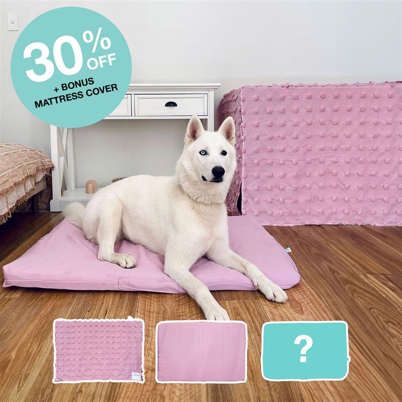 Outlet Crate Bundle - Bloom