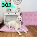 Bloom Mattress & Cover