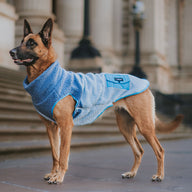 Blueberry Fleece Vest