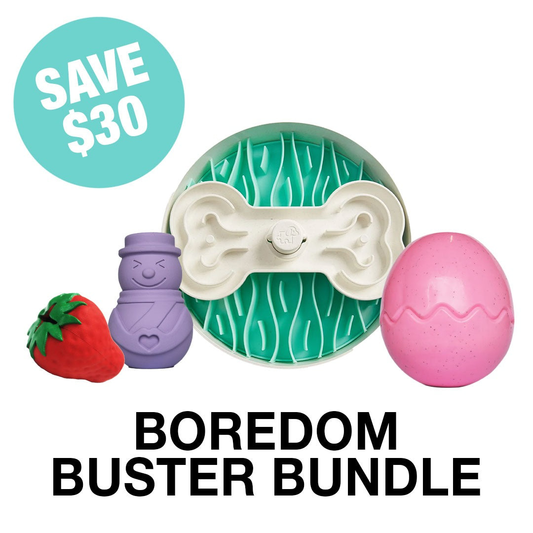 Boredom Buster Bundle