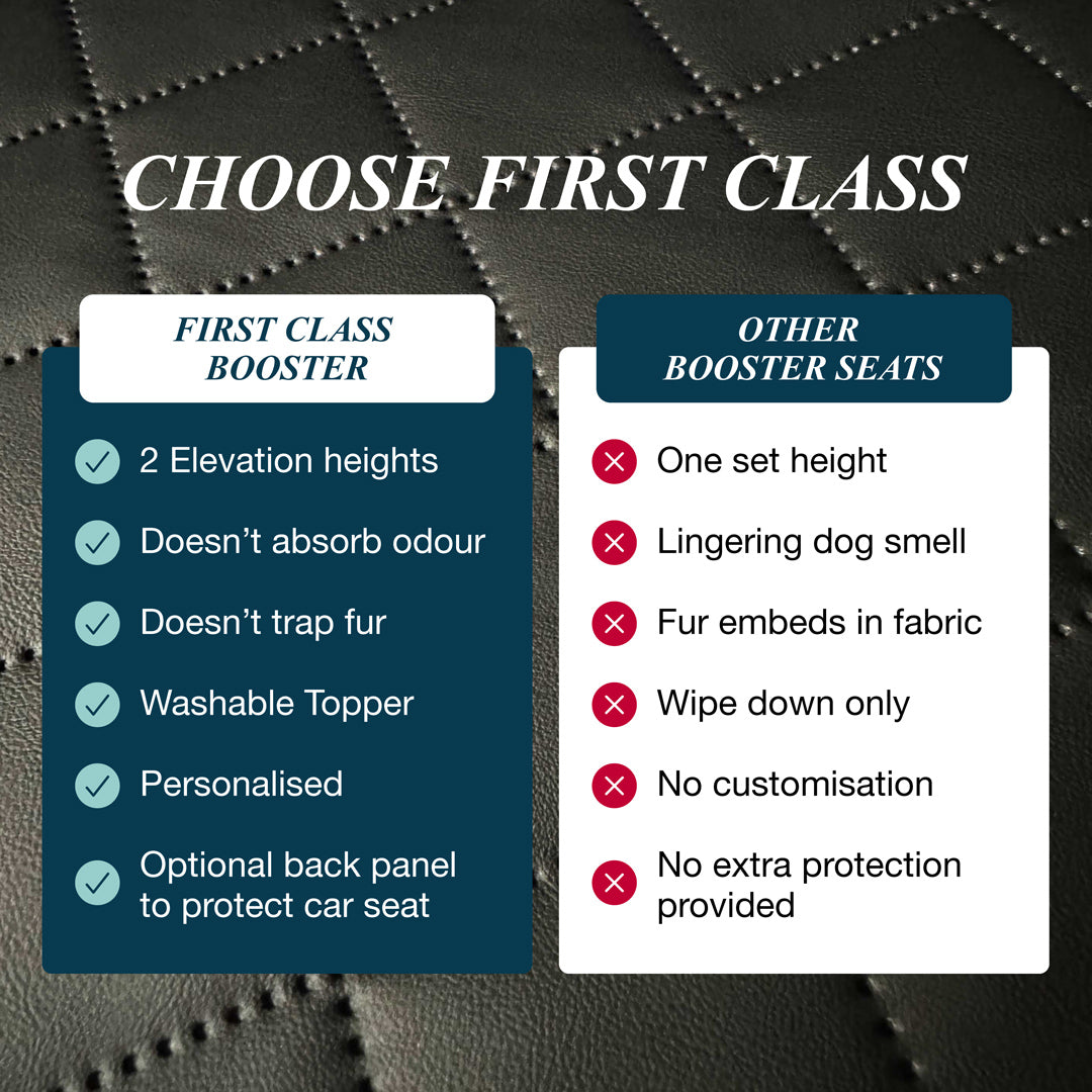 Dog Car Booster Seat (PRE-ORDER)