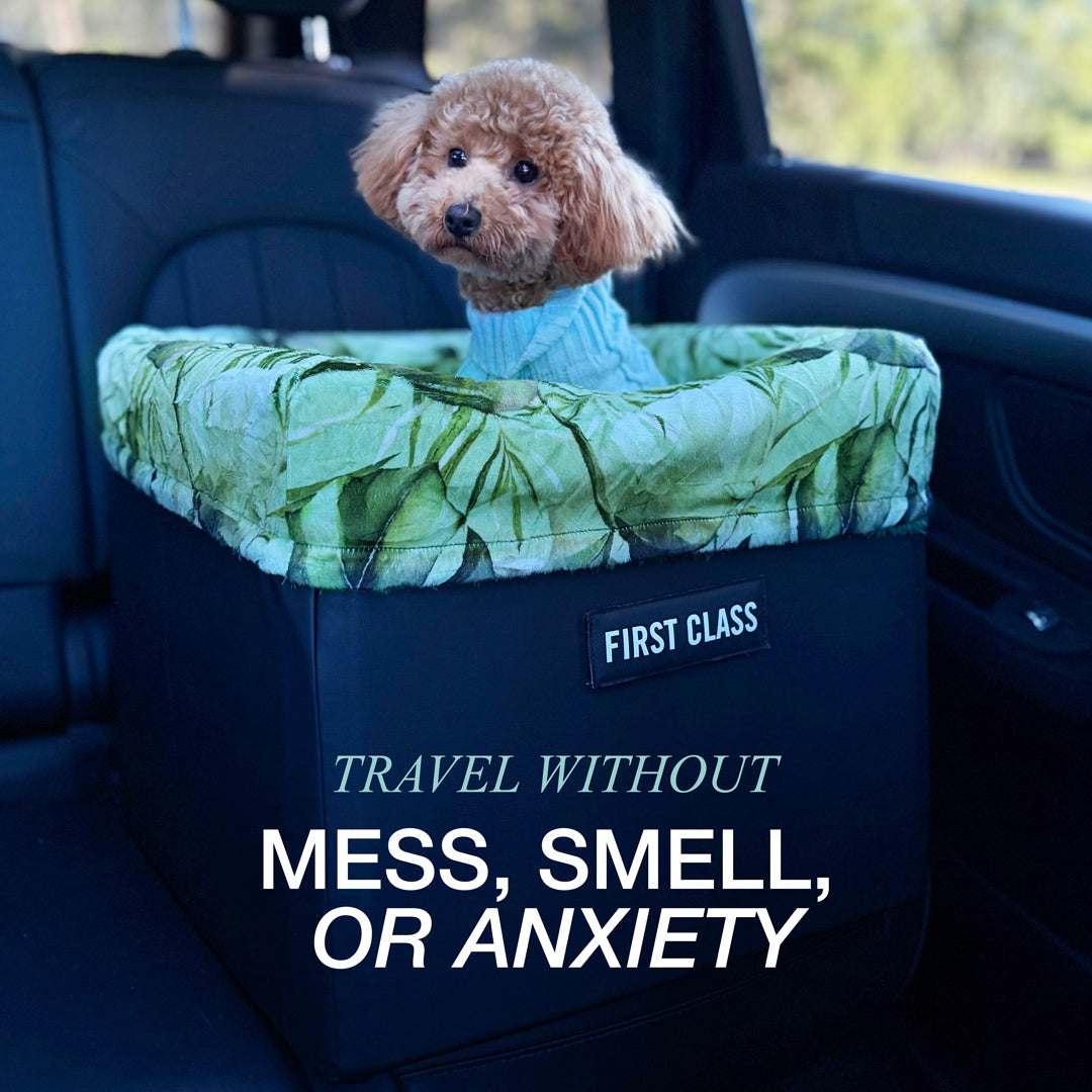 Dog Car Booster Seat (PRE-ORDER)