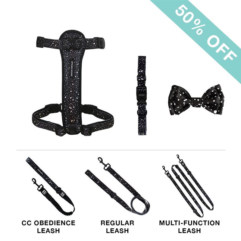 Chest Plate Harness + Leash + Collar + Bow Tie