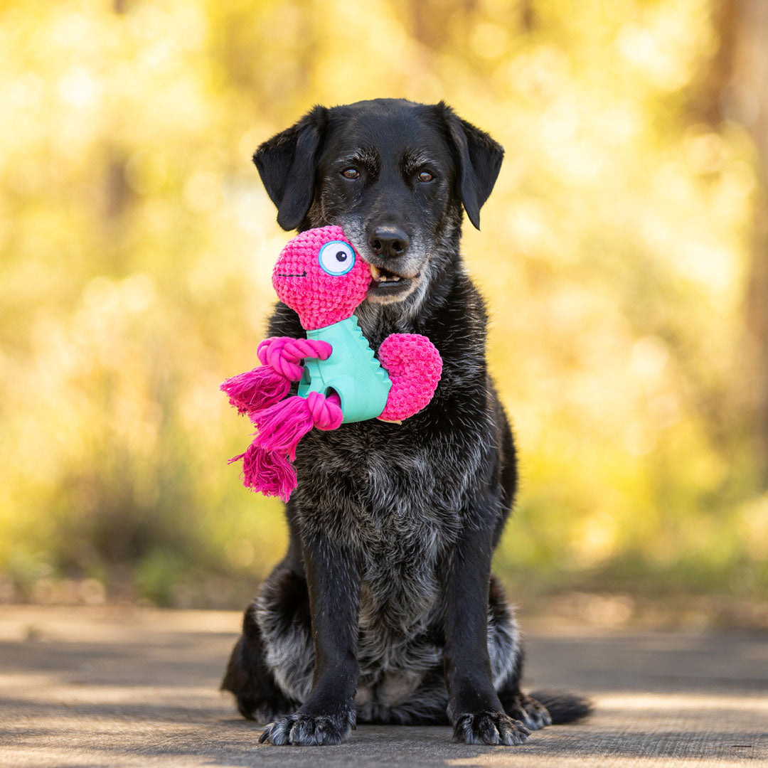 Chameleon 3-in-1 Soft + Rubber Toy Treat Dispenser