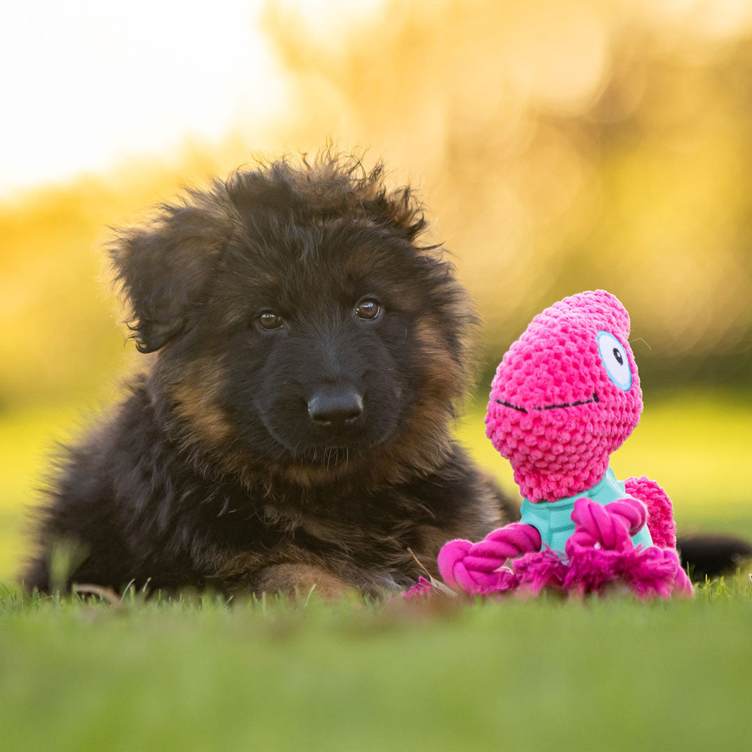 Chameleon 3-in-1 Soft + Rubber Toy Treat Dispenser