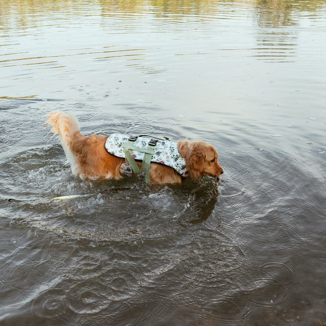 Evergreen Dog Swim Jacket