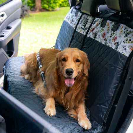 Evergreen Back Seat Cover w Travel Bag