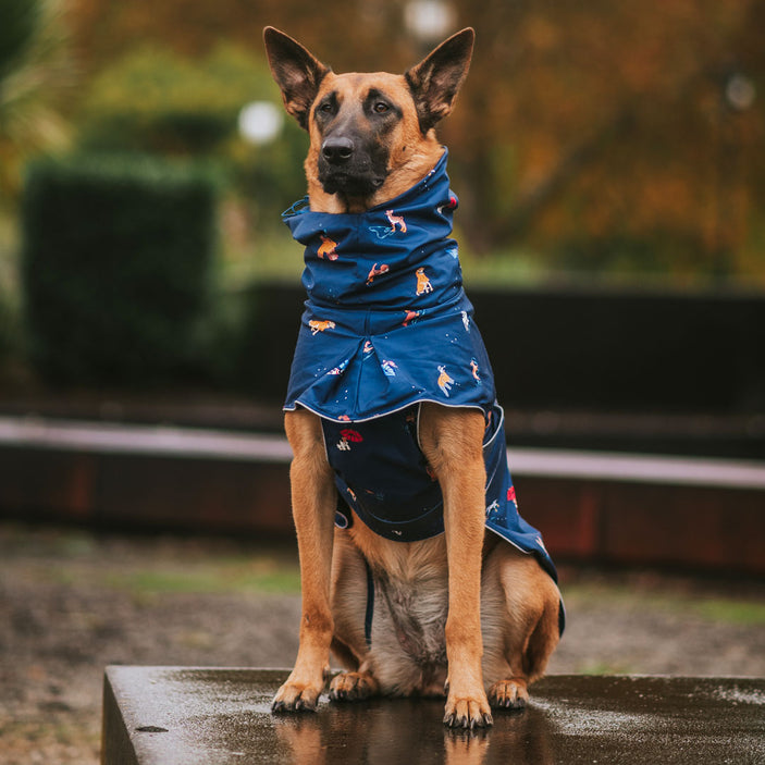 Dog Raincoat