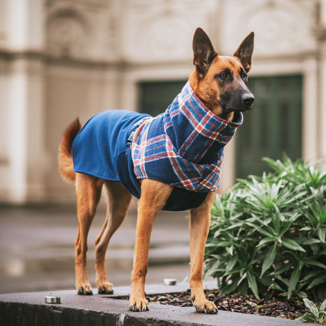 Navy Winter Coat