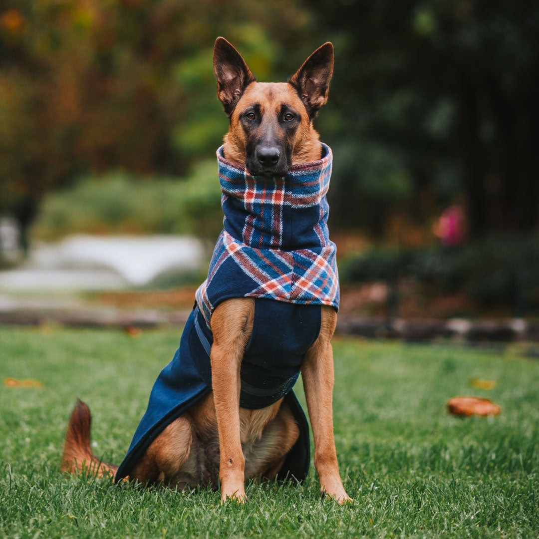 Navy Winter Coat