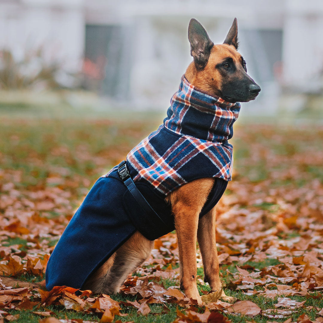 Navy Winter Coat