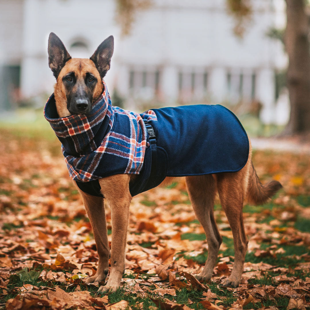 Navy Winter Coat