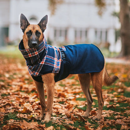 Navy Winter Coat