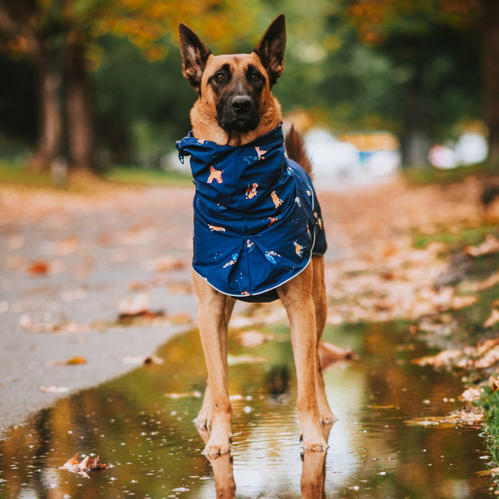 Dog Raincoat