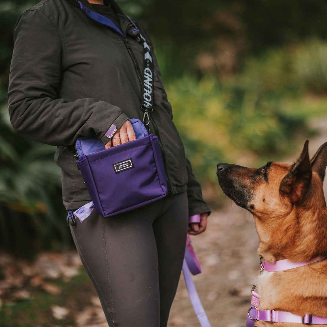 OG Training Treat Pouch