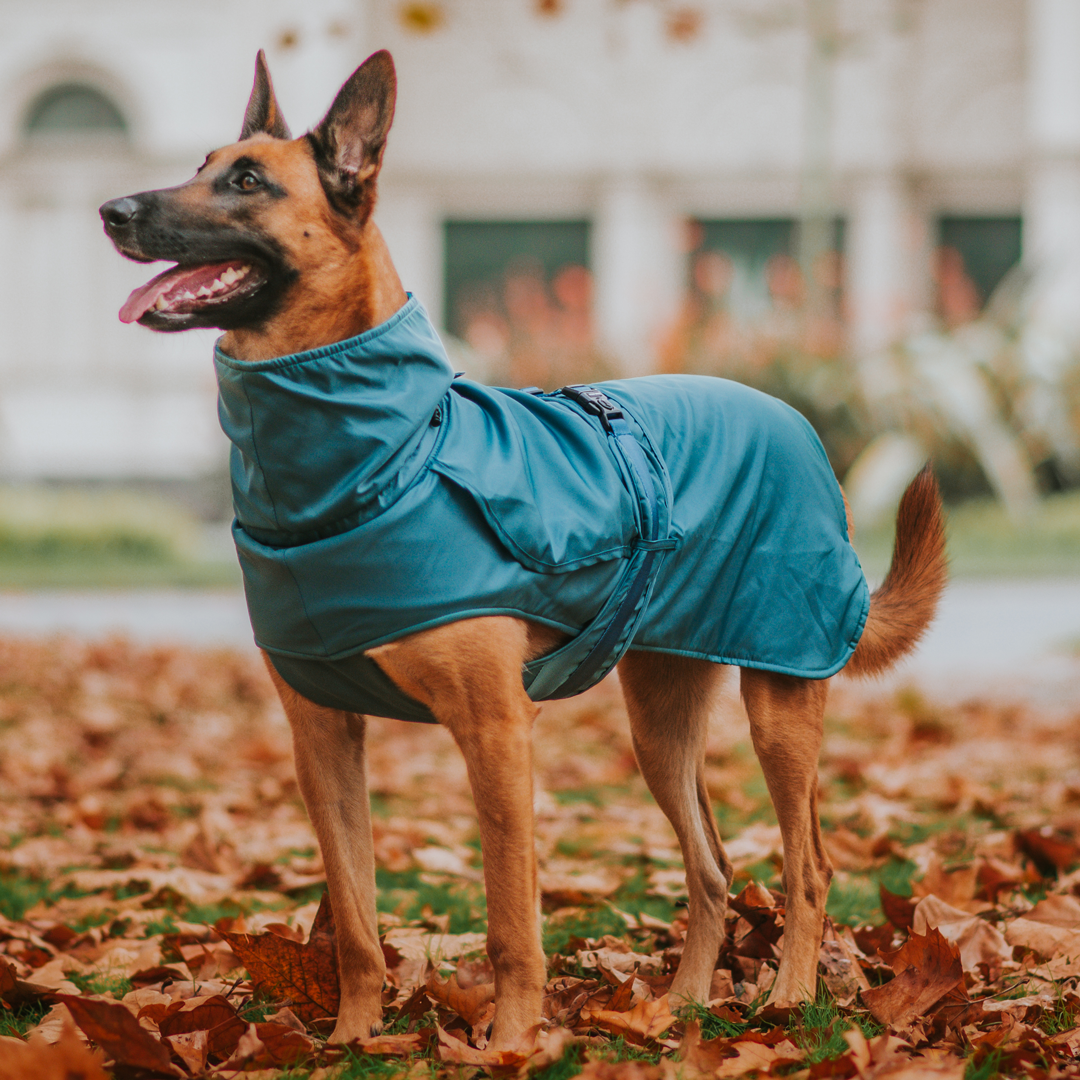 Teal Trench Coat